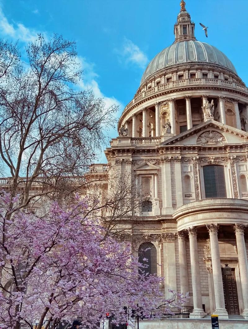 魁北克大学-蒙特利尔